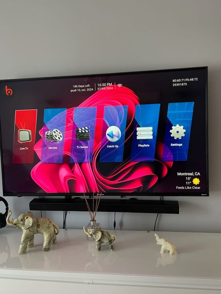 Jan V. Verified Revo Iptv Customer Photo